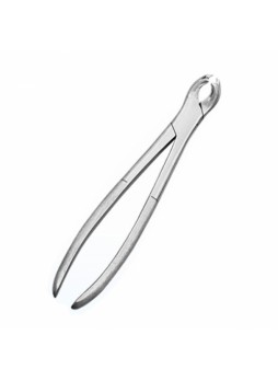 Gowing Tooth Forceps (SS)
